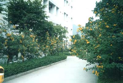 重庆哪家轨道交通学校好?