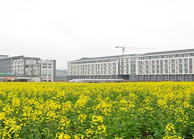 重庆商务职业学院校园风景