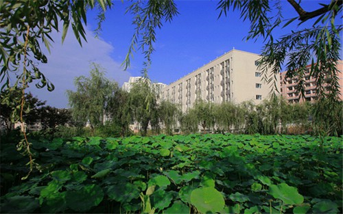 2023年泉州华侨职业中专学校有哪些专业