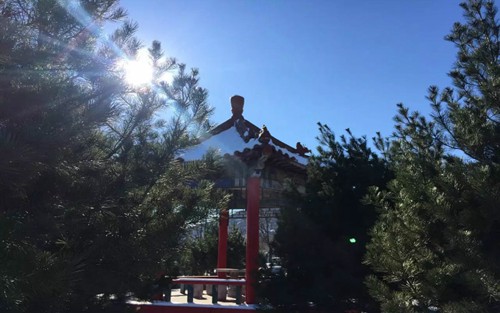 2024年云南理工职业学院有哪些专业