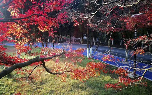 2023年连城县职业中专学校有哪些专业