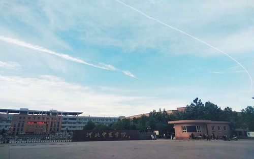2023年重庆科技职业学院有哪些专业