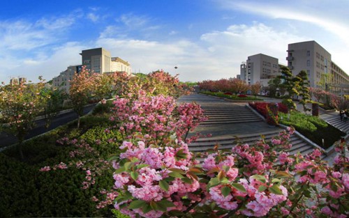 2023年花垣县中等职业技术学校有哪些专业