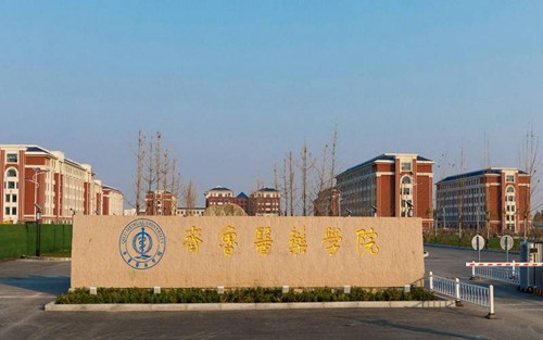 2023年河北能源职业技术学院有哪些专业