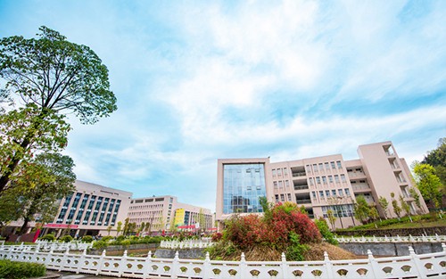 2023年丽水护士学校有哪些专业
