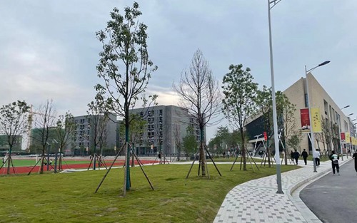 2024年青岛旅游学校有哪些专业