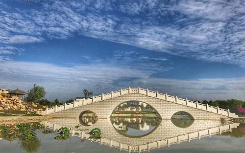 2024年郑州信息工程职业学院有哪些专业