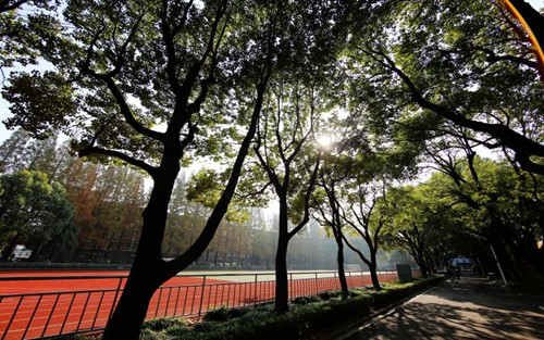 2024年济南科技中等职业学校有哪些专业