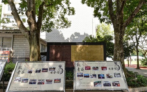 2023年东莞理工学校有哪些专业