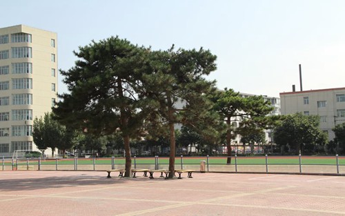 2023年四川省志翔职业技术学校有哪些专业