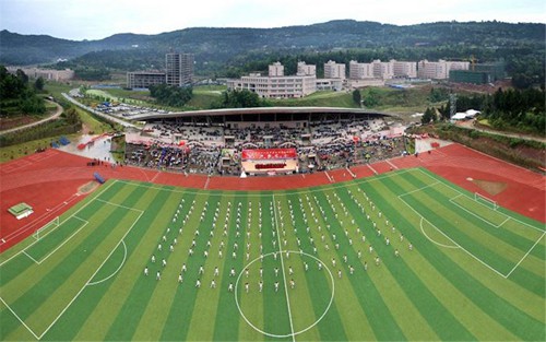 2023年四川音乐学院附属中等艺术学校有哪些专业