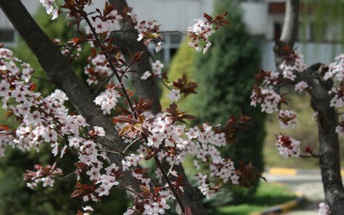 2023年重庆市机电工程技工学校有哪些专业