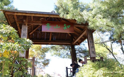 2023年山东商业职业技术学院有哪些专业