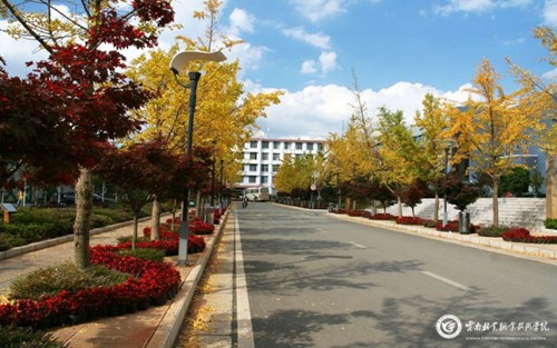 2023年烟台工程职业技术学院有哪些专业