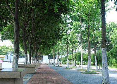 浙江烹饪(中式烹调方向)专业学校招生
