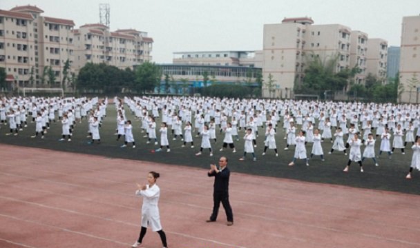 成都中医药大学附属医院针灸学校