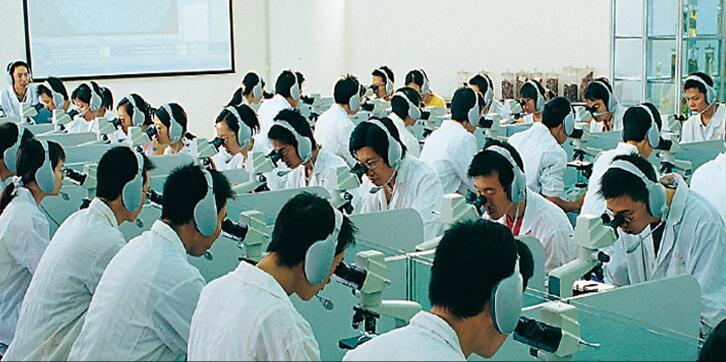 成都中医药大学眼视光学专业