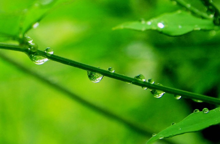 瑞安永久机电学校招生专业有那些
