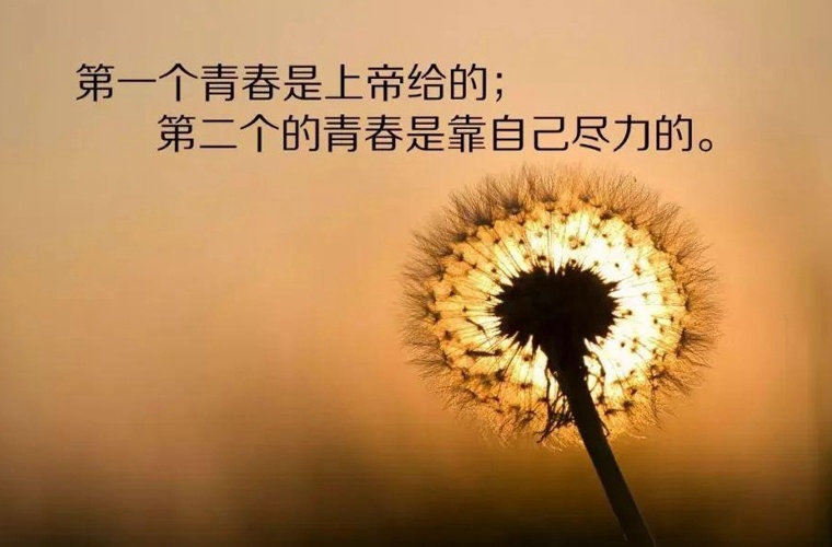 广州番禺区工商职业技术学校招生专业有那些