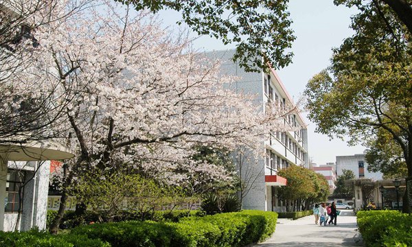 杭州商贸职业高级中学2024年招生简章