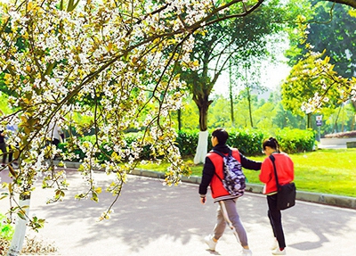 宿迁职业高级中学2025年有哪些专业