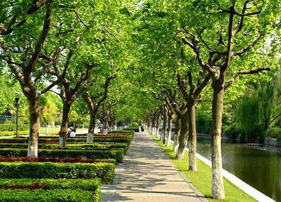 庆阳卫生学校2025年宿舍条件