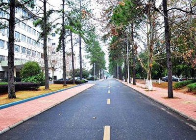镇安县职业高级中学2024年招生简章