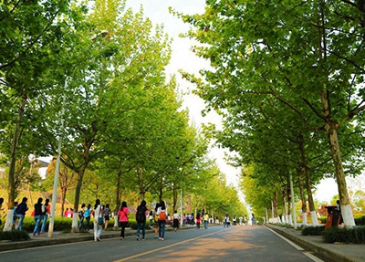 2023上海公办电子商务学校有哪些 上海公办电子商务学校名单一览表