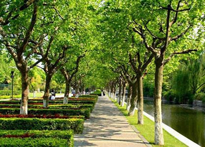 朝阳市卫生学校2025年宿舍条件