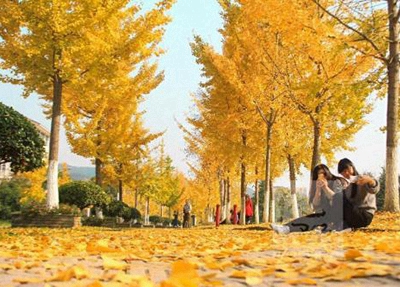 北京大兴二职2025年报名学费多少钱