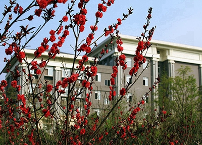 2025新疆工业经济学校多少钱(学费明细)