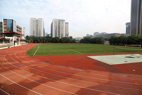 2023年成都职业技术学院的招生要求
