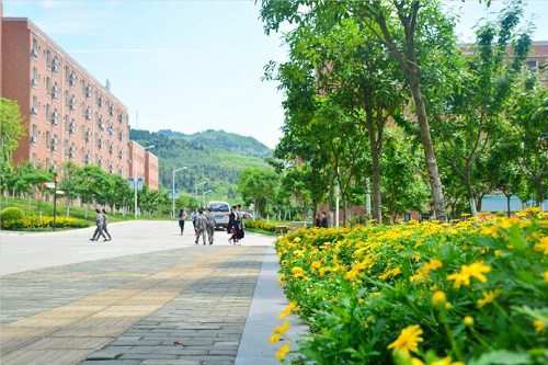 2023年四川成都华夏卫校的招生人数有多少
