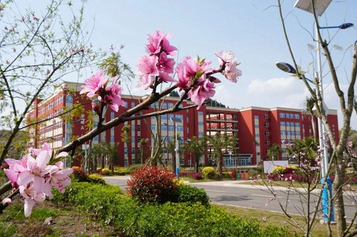 2023年资阳环境科技职业学院报名条件