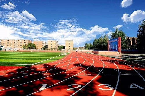 2023年四川艺术职业学院的招生人数是多少