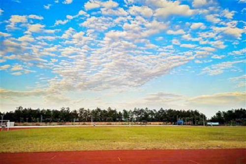 2023年四川幼儿师范高等专科学校五年制大专收费标准