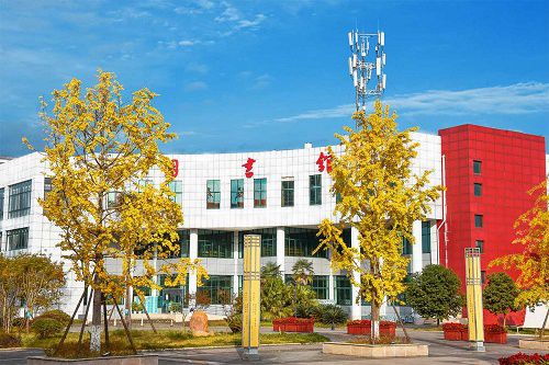 四川幼儿师范高等专科学校五年制大专招生计划